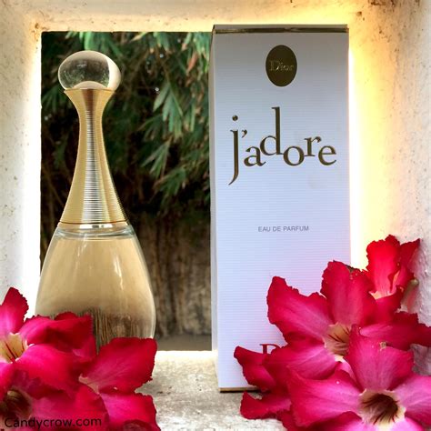 dior j'adore bewertung|dior j'adore perfume reviews.